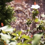 @alfserranov, TAXCO