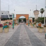 @erochamx, BajaCalifornia Sur