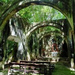 @geocampeche1, CAMPECHE 2