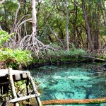 @geocampeche1, CAMPECHE 3